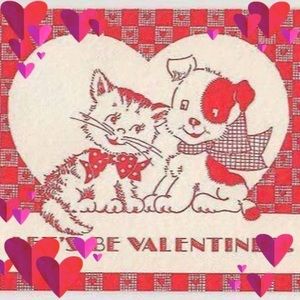 Meet your Posher, Annie